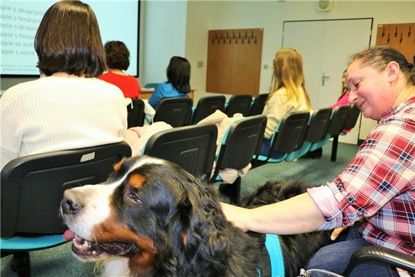 Dobrovolnický psí tým na setkání ve Vzdělávacím institutu Krajské zdravotní, a.s., zastupoval Artík.
