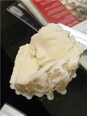 3D model nenarozeného plodu mohou nyní nabídnout maminkám na gynekologicko-porodnickém oddělení děčínské nemocnice. Foto: Krajská zdravotní  a.s.