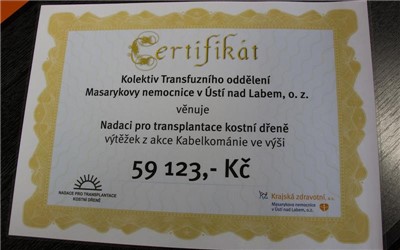 Krajská zdravotní podpořila díky prodaným kabelkám Nadaci pro transplantace kostní dřeně (. Foto: Krajská zdravotní, a. s.)