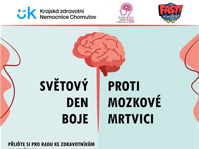 Leták. Světový den boje proti mozkové mrtvici. Chomutov