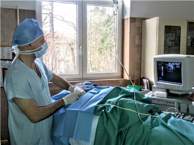 Regionální anestézie (místní umrtvení) nervové pleteně s navigací ultrazvukem